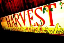 Photo of Harvest Pub: cinque anni di “raccolto”… in Via Montello a Bologna.