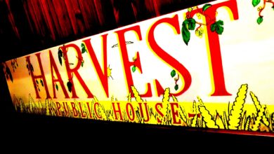 Photo of Harvest Pub: cinque anni di “raccolto”… in Via Montello a Bologna.