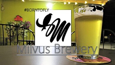 Photo of Milvus Brewery: a Sarnelli (Potenza) il nibbio reale è… #borntofly.
